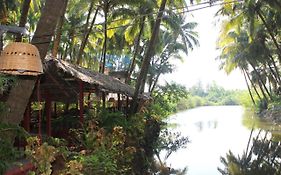 Palm Trees Ayurvedic Heritage
